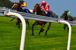 Premier Disco How to host a race night