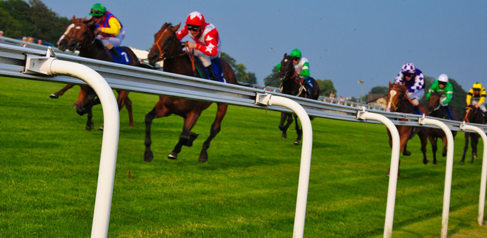 race night fundraiser Scotland - Premier Disco hosting a charity race night event